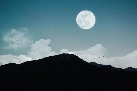 Night landscape Stock Illustration