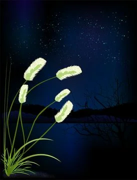 Night landscape Stock Illustration