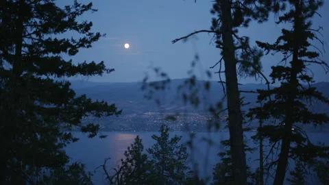 Night landscape looking down on town of West Kelowna and lake through trees Stock Footage 141903712