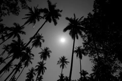 Night landscape Stock Photos