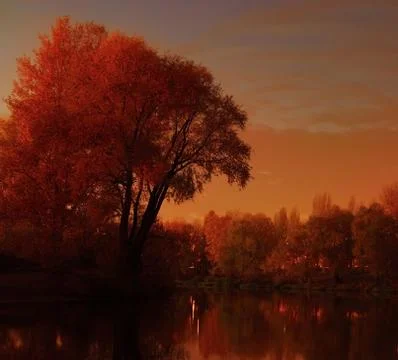 Night landscape Foto stock
