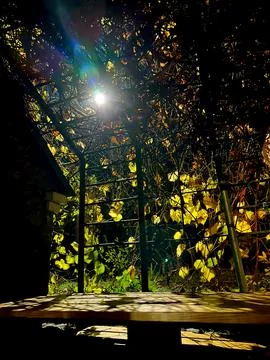 Night landscape in a summer garden Stock-Fotos