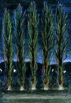 Night landscape with trees. Stock Illustration