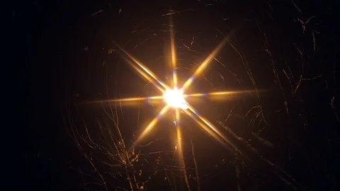 Night lantern and tree in winter evening Stock Footage 103108807