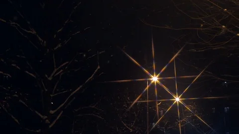 Night lantern and tree in winter evening Stock Footage 103108810