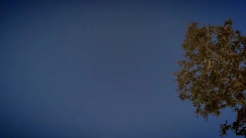 Night Lapse with Tree and lots of Satalittes Stock Footage 196638801
