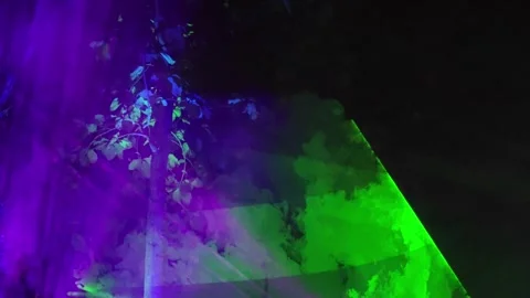 Night laser light show through trees. Stock Footage 341336972