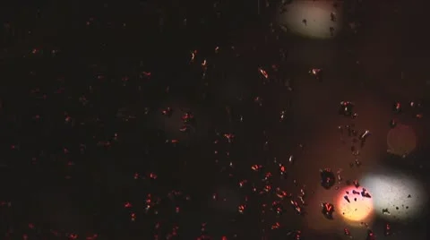 Night light 1 Stock Footage 10713755