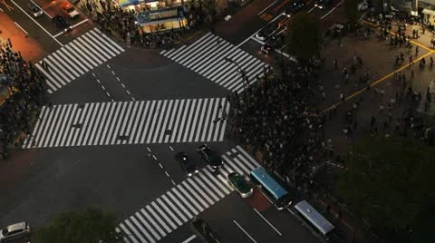 Night Light Crowd People Walking Tokyo Busy Urban Street Aerial Shibuya Crossing Stock Footage 12426335