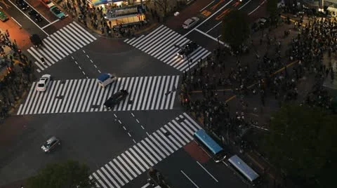 Night Light Evening Car Passing Tokyo Urban Traffic Aerial View Shibuya Crossing Stock Footage 12427296