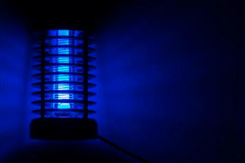 The night light is an insect killer Stock Photos