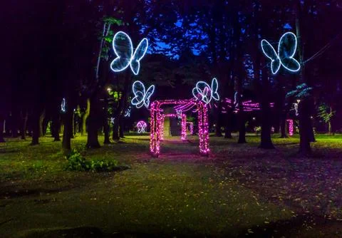 Night light park Stock Photos