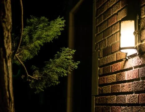 Night Light Fotos Stock