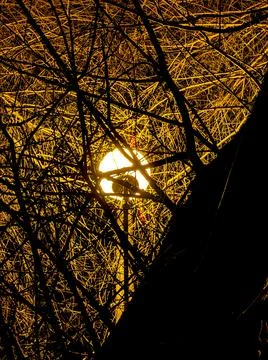 Night light 스톡 사진