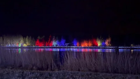 Night light show in Longford Forest Parc, trees illuminated in colour Video stock 328625920