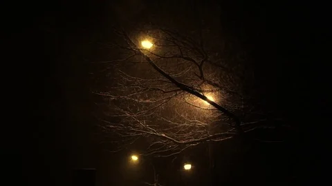 Night light in the snow weather Stock Footage 72868548