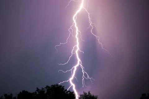 Night lightning over forest Stock Photos