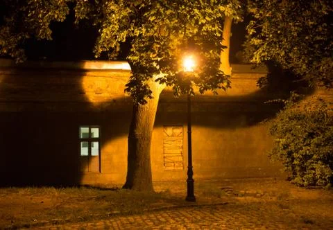 Night lights in the branches of a tree. Stock Photos