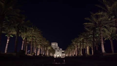 Night lights illuminate palm trees lining a path 스톡 동영상 337763958