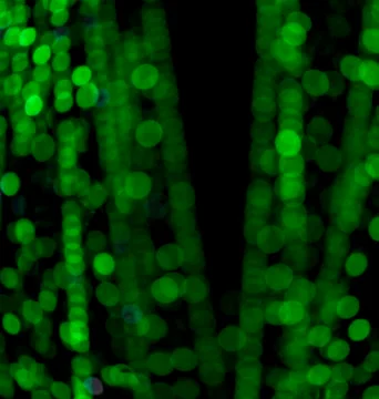 Night lights in the side Stock Photos