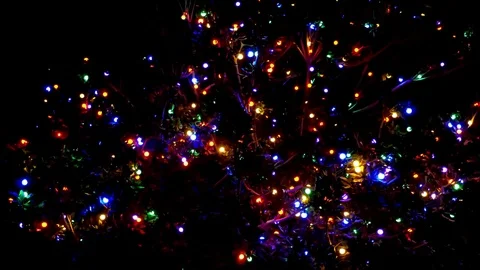 Night Lights Tree Color Stock Footage 83569636