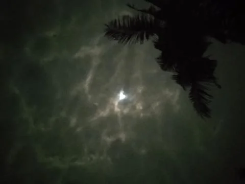Night of the lunar eclipse Stock Photos