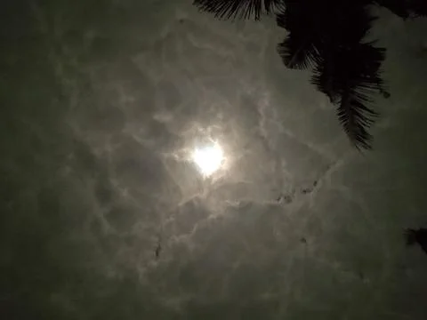 Night of the lunar eclipse Stock Photos