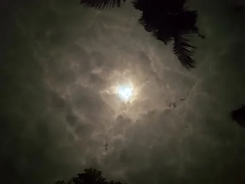 Night of the lunar eclipse 스톡 사진