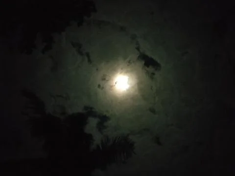 Night of the lunar eclipse Stock Photos