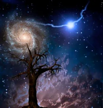 Night of majic Illustration