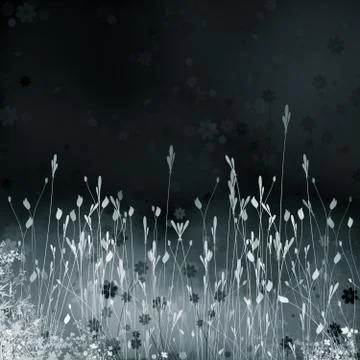 Night meadow Stock Photos