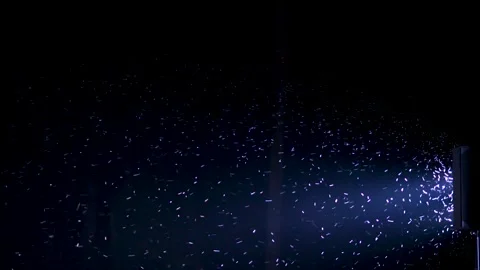 Night midges in the rays of light Stock Footage 138258220