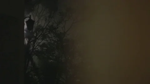 Night mist Stock Footage
