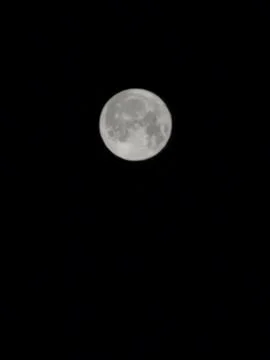 Night moon close-up Stock Photos