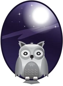 Night moon owl Stock Illustration