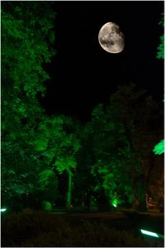 Night moon Foto stock