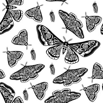 Night moth, butterfly pupa. Vector illustration. Seamless pattern. Stock Illustration