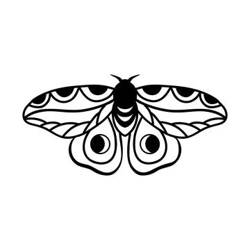 Night moth with crescent moon isolated on white background . Hand drawn black Stock Illustration