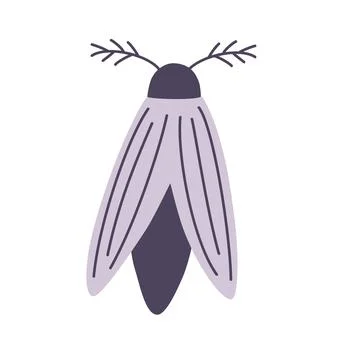 Night Moth. Element for Halloween. Magic, occult, greeting card, print, poste Stock Illustration