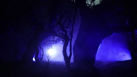 Night mysterious forest in cold tones Vídeo Stock 147232047