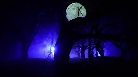Night mysterious forest in cold tones Vídeo Stock 147232188