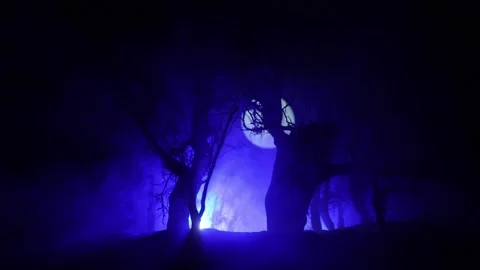 Night mysterious forest in cold tones Vídeo Stock 147232290