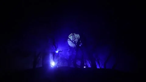 Night mysterious forest in cold tones Vídeo Stock 147233361