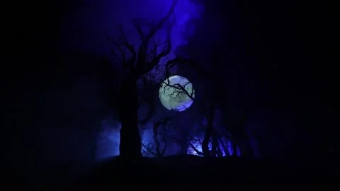 Night mysterious forest in cold tones Vídeo Stock 147233397