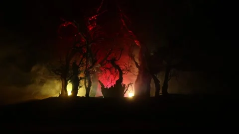 Night mysterious forest in cold tones Vídeo Stock 147234623