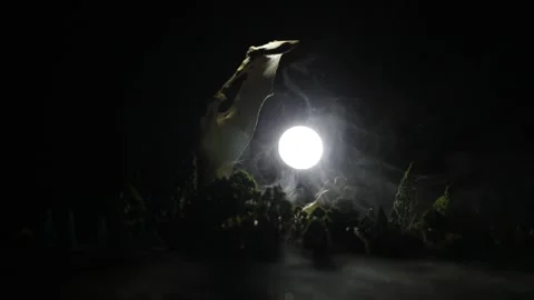 Night mysterious forest in cold tones Vídeo Stock 152148759