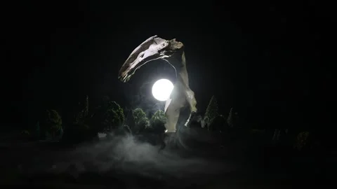 Night mysterious forest in cold tones Vídeo Stock 152148848