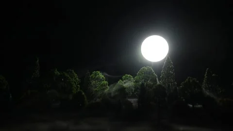 Night mysterious forest in cold tones Vídeo Stock 152149238
