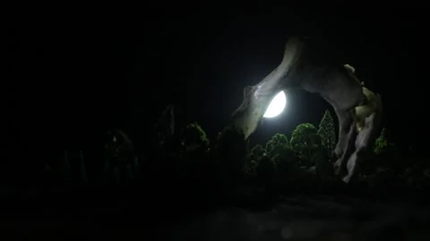Night mysterious forest in cold tones Vídeo Stock 152149456