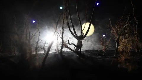 Night mysterious forest in cold tones Vídeo Stock 217048854